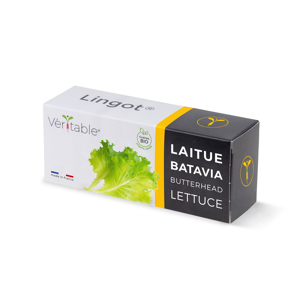 Lingot laitue batavia bio - recharge prête à l'emploi