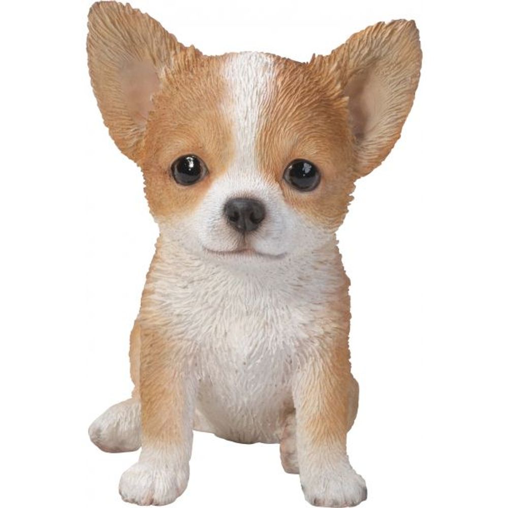 Chiot chihuahua assis en résine 16 cm