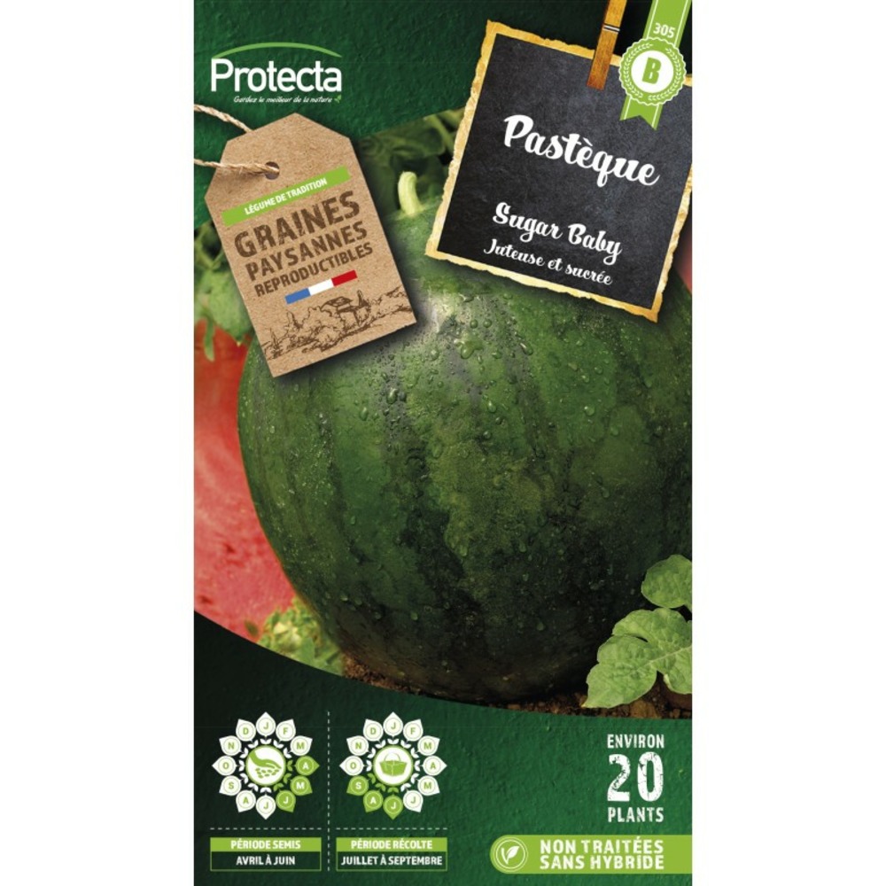 Graines paysannes - pastèque sugar baby