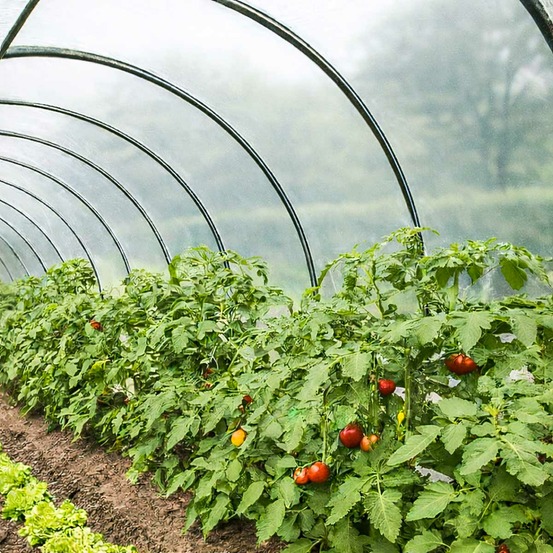 Bâche serre 6x12 m - tecplast 200se - haute performance - made in france