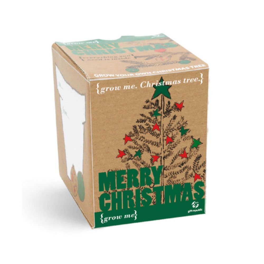 Petit kit - sapin de noël à faire pousser