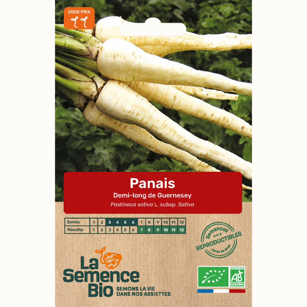 Panais demi-long de guernesey - graines bio