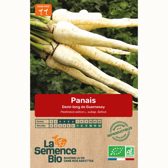Panais demi-long de guernesey - graines bio