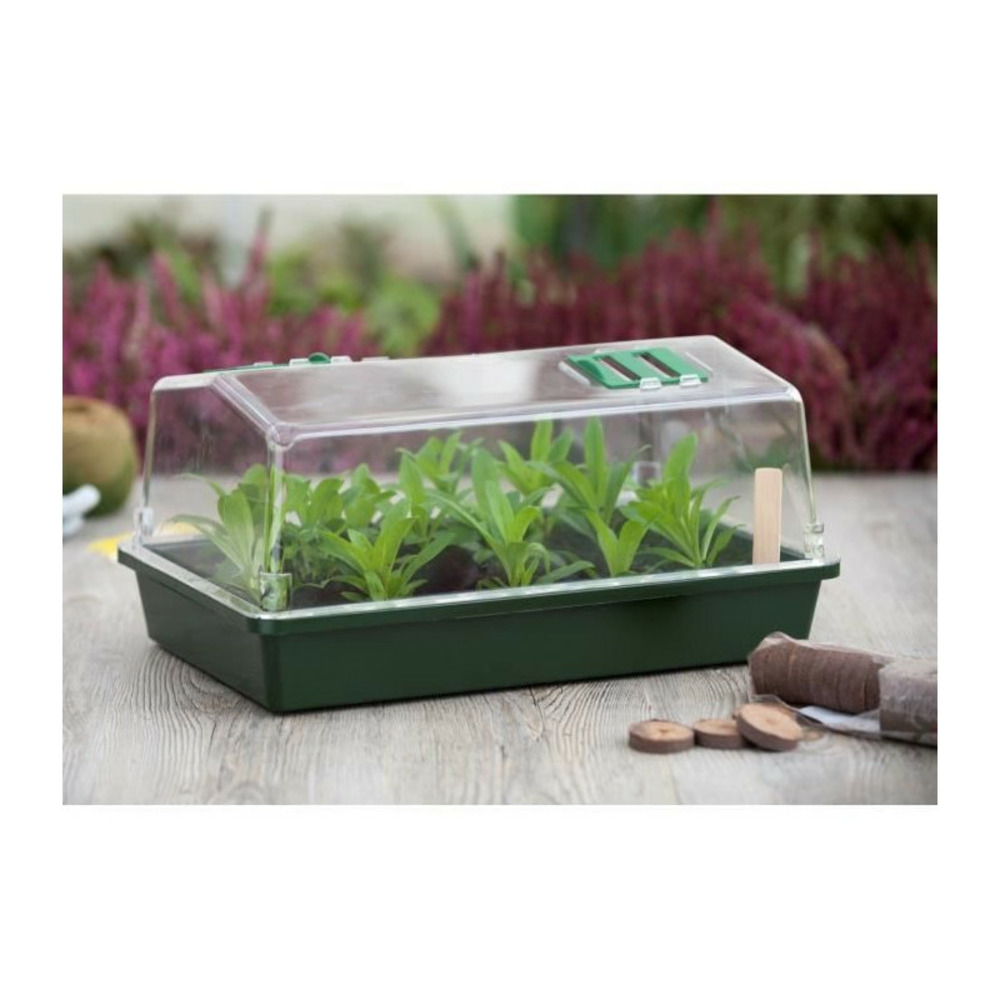 Mini serre terrine et couvercle ventile 37x24x18 xm