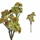 Ptmd succulent plante vetweden kunst branch - 23 x 16 x 38 cm - jaune / vert