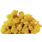 Lic/4060 lichen stabilisée jaune box 4 kg