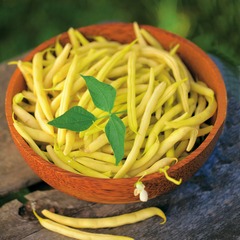 Haricot beurre nain fructidor - le sachet / 100g / ±70 graines