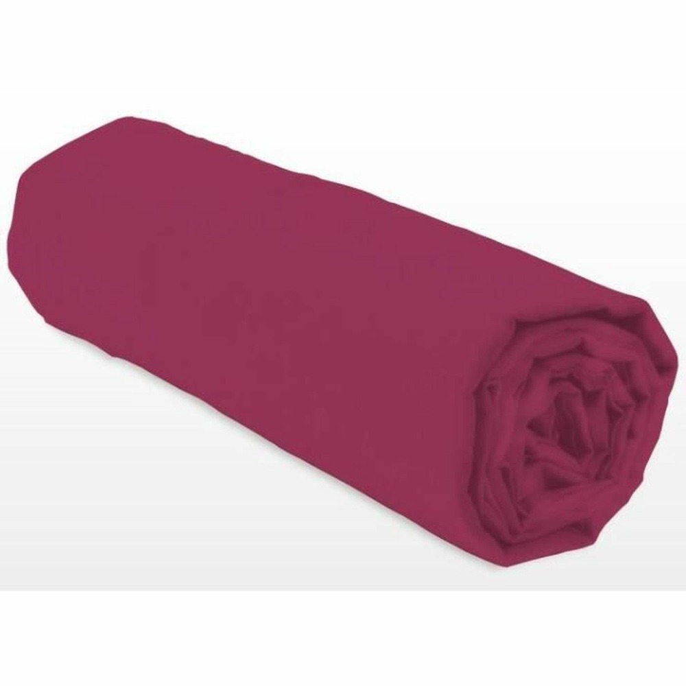 Drap-housse 160 x 200+35 cm - fuchsia