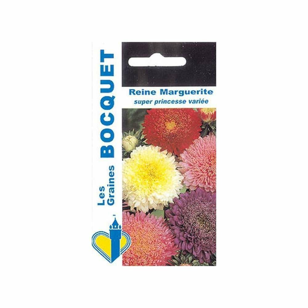 Reine marguerite superprincesse variée