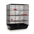 Cage à rat remy noir 58 x 38 x 71 cm 266815