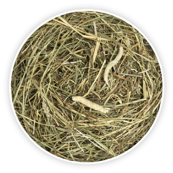 Foin timothy premium