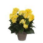 Mica decorations - bégonia artificielle jaune en pot h30