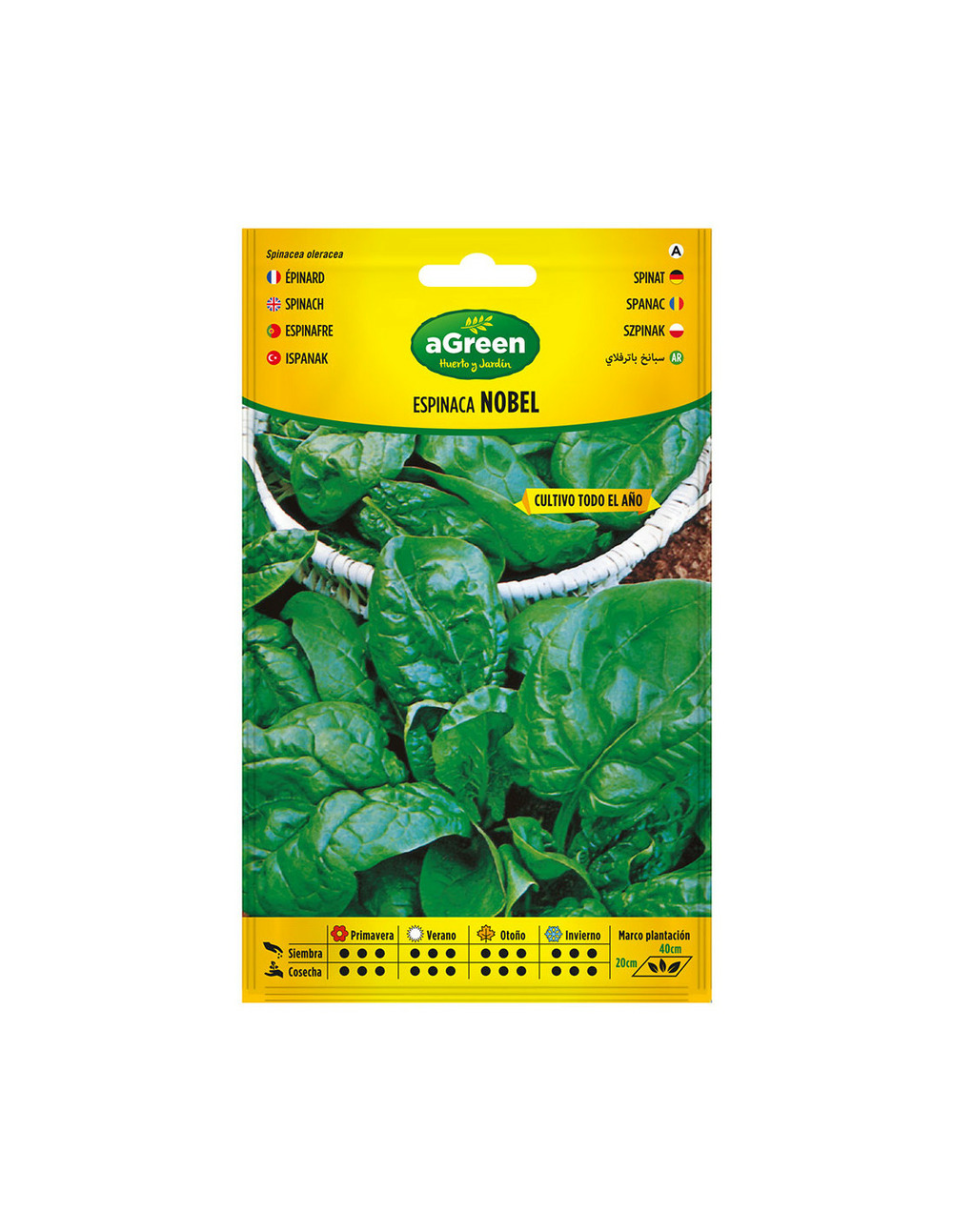 À propos des graines dépinards nobel 000383bolsh agreen - agreen