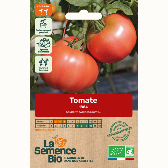 Tomate 1884 - graines bio