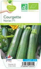 Courgette noriac f1   -plant ab  en  pot 0.5 l- plante du jardin
