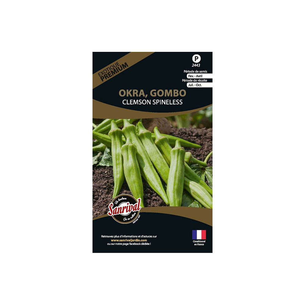 Graines potagères premium okra gombo