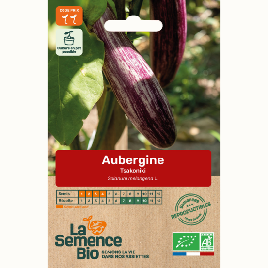 Aubergine tsakoniki - graines bio