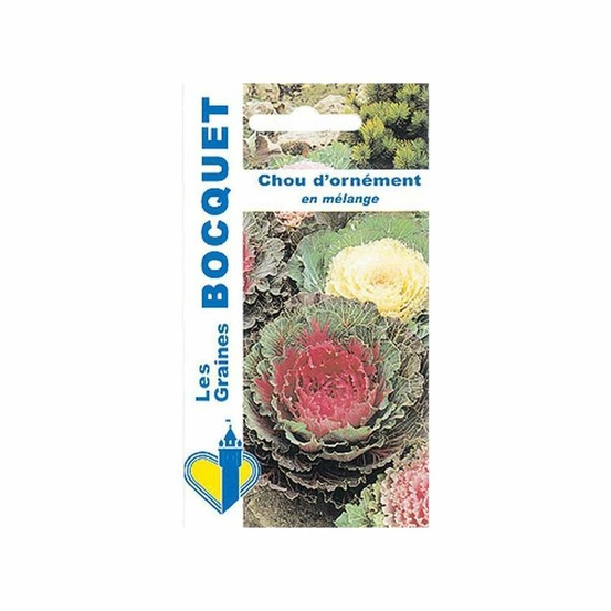 Chou d'ornement en mélange