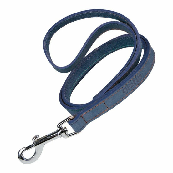 Laisse pour chien gloria oasis 3 x 60 cm bleu