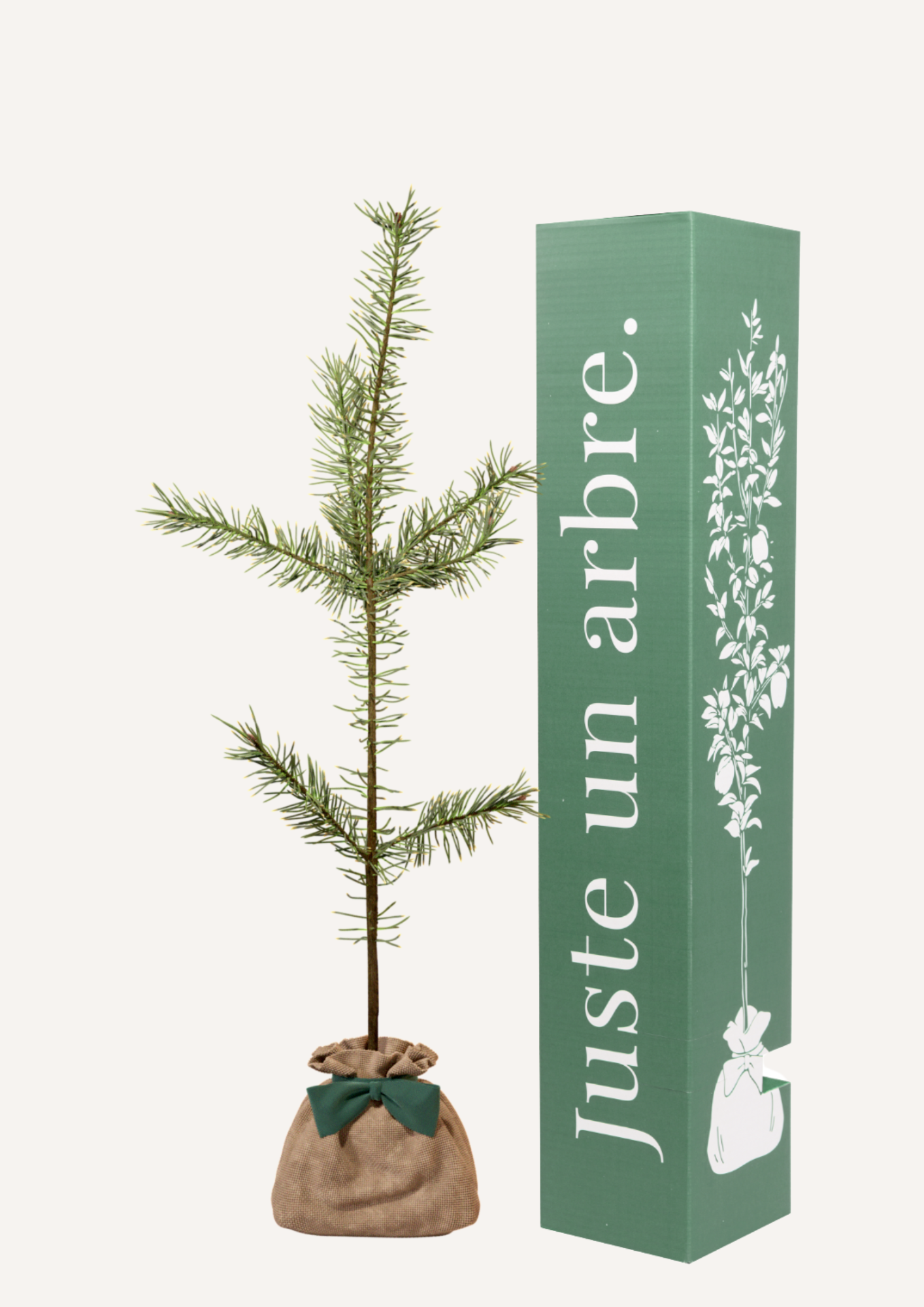 Pin sylvestre | offrez un arbre pour célébrer les grands moments de vie (naissance, mariage). Un cadeau unique.