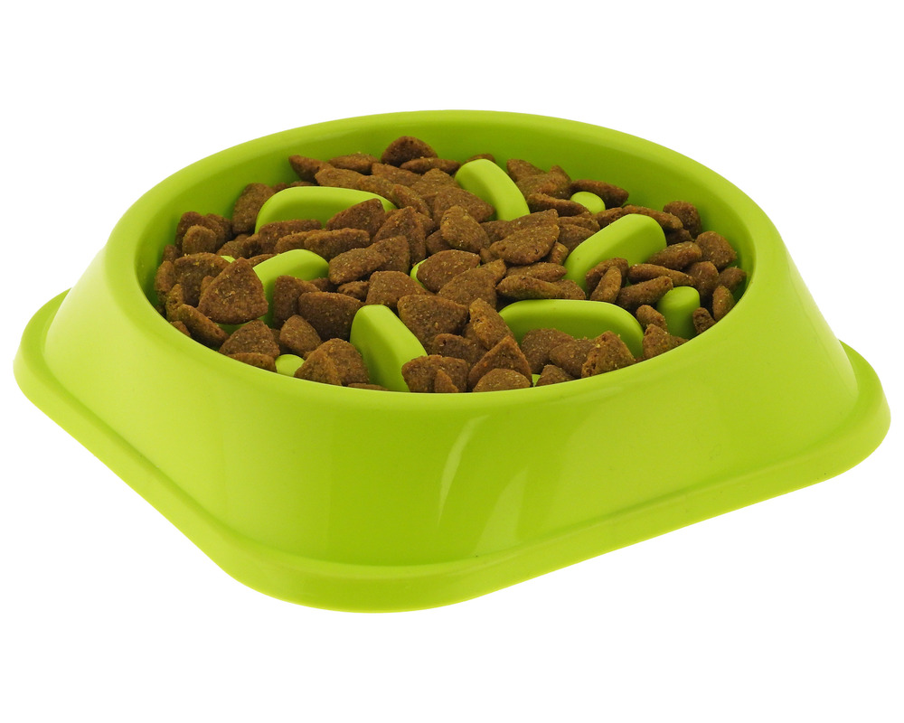 Gamelle chien labyrinthe anti-glouton verte • bol alimentaire chiens