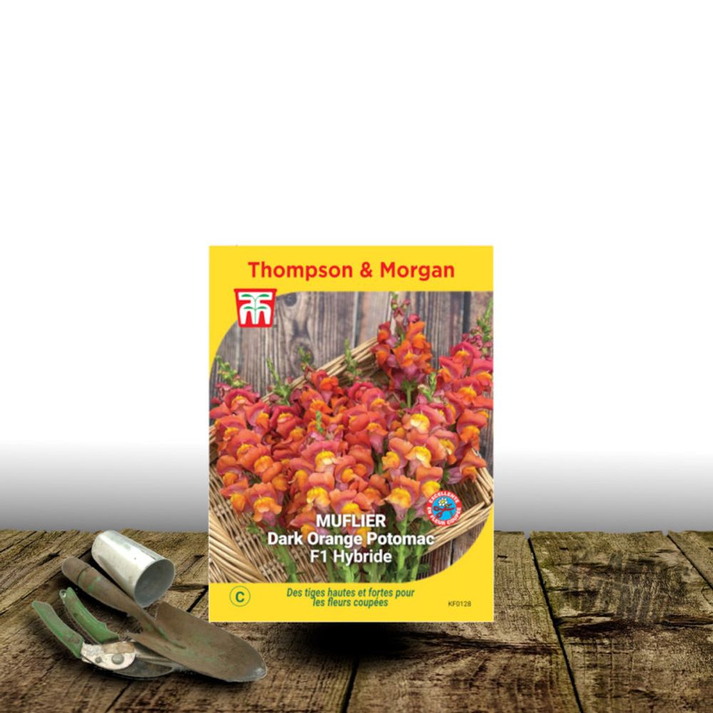 Graines de muflier dark orange potomac - thompson & morgan sachet