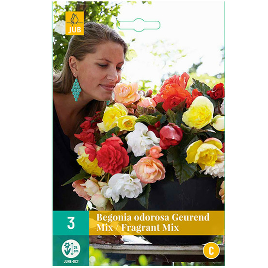 Mélange de 3 cascades odorosa fragrant multicolore