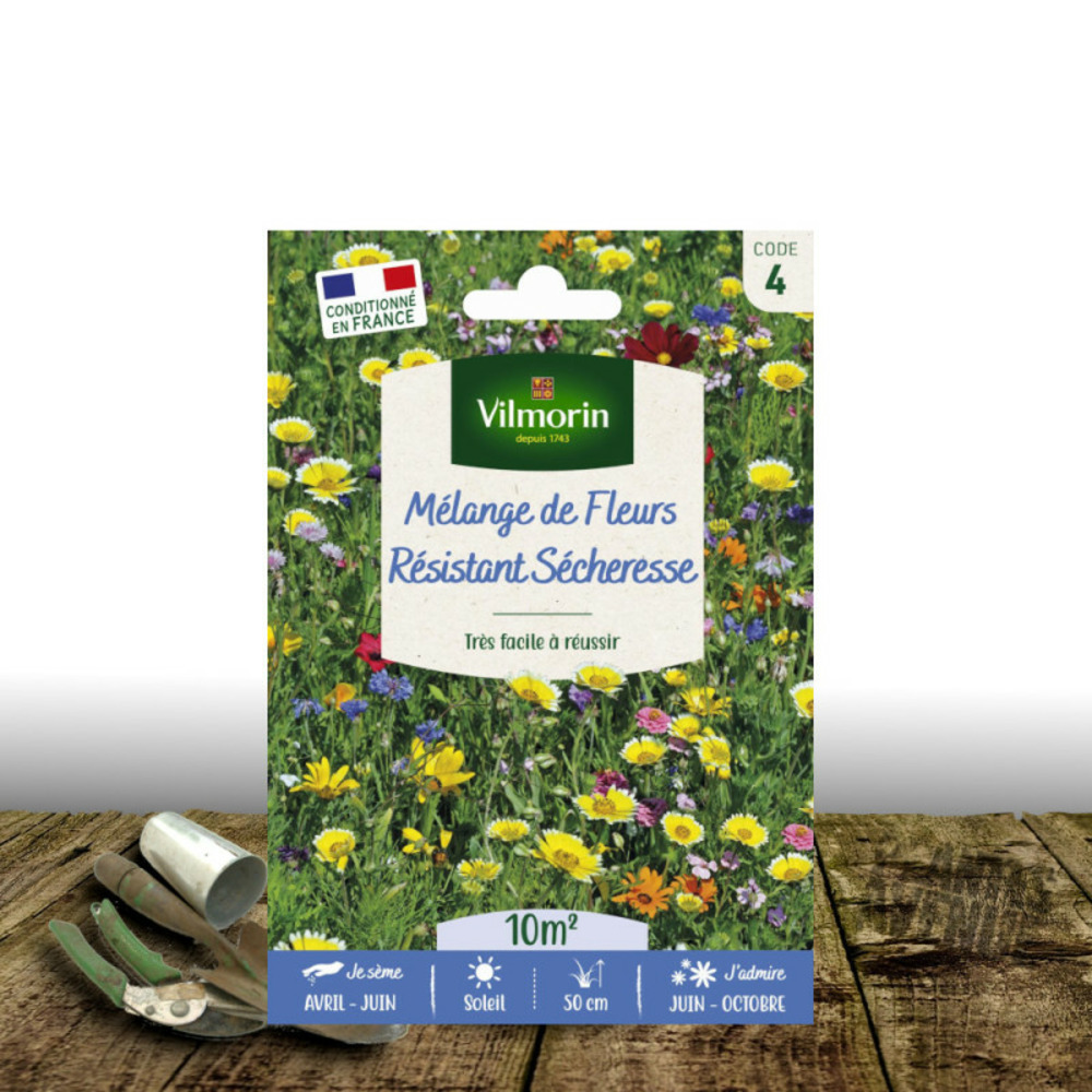 Graines en mélange de fleurs - fleurs résistantes à la sécheresse sachet - 10 m²