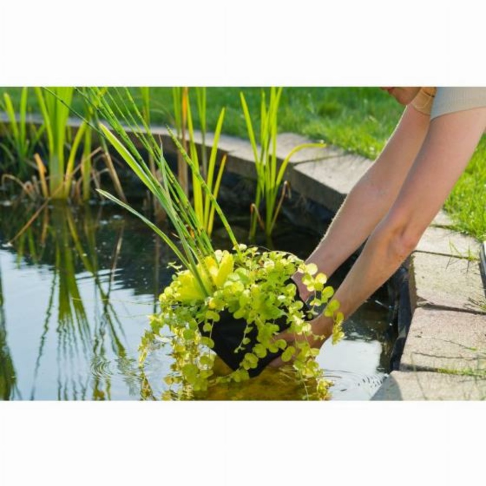 Sac de plantation pour plante aquatique - m - rond