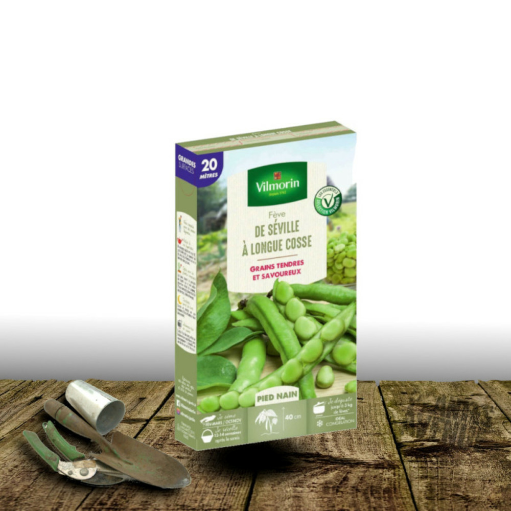 Graines de fève à très longue cosse de séville - vilmorin sachet - 20 mètres