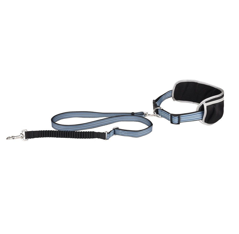Laisse de jogging pour chien avec ceinture ventrale bleu