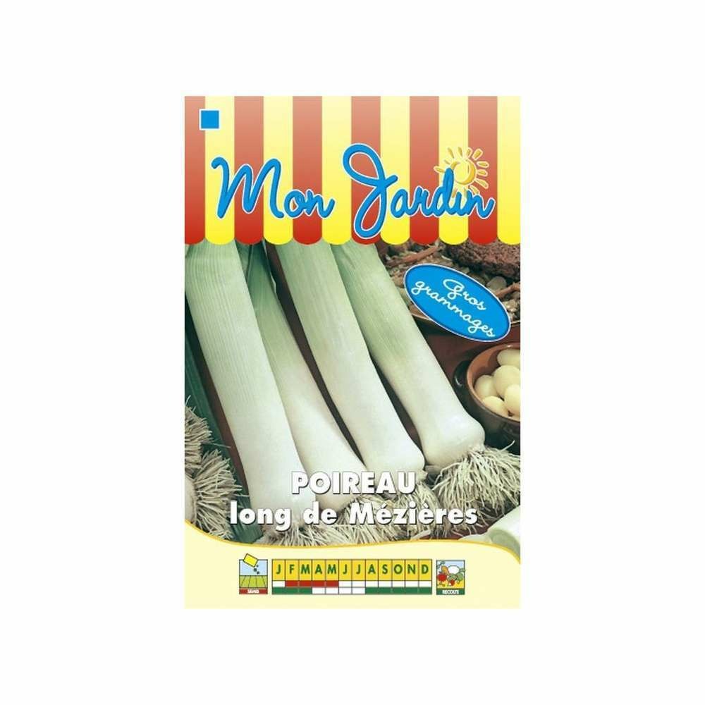 Graines de poireau long de mézières gros grammage