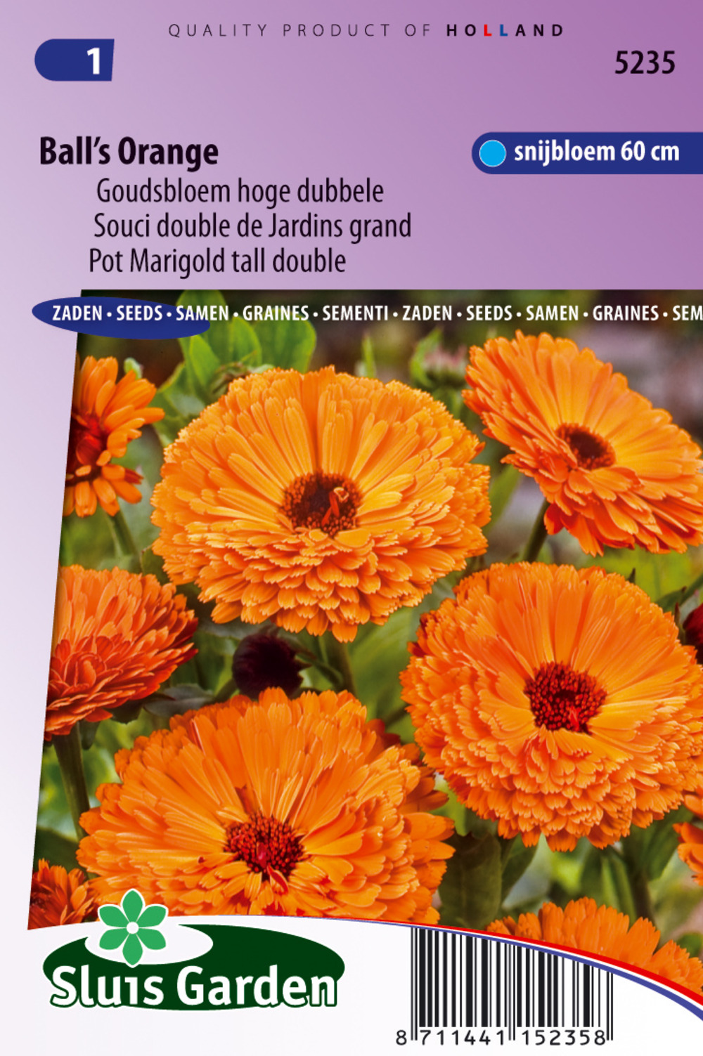 Souci double de jardins ball's orange - graines de fleurs annuelles - ca. 1,2 g (livraison gratuite)