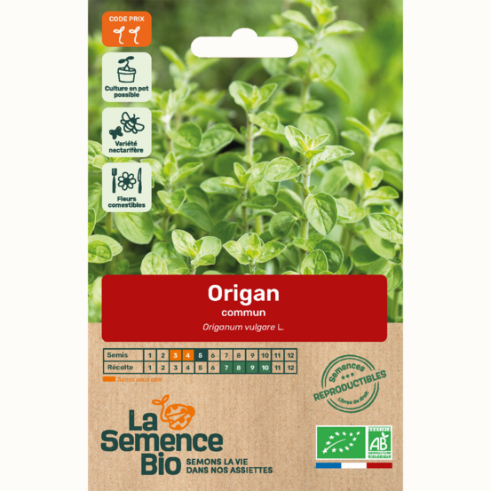 Origan commun - graines bio