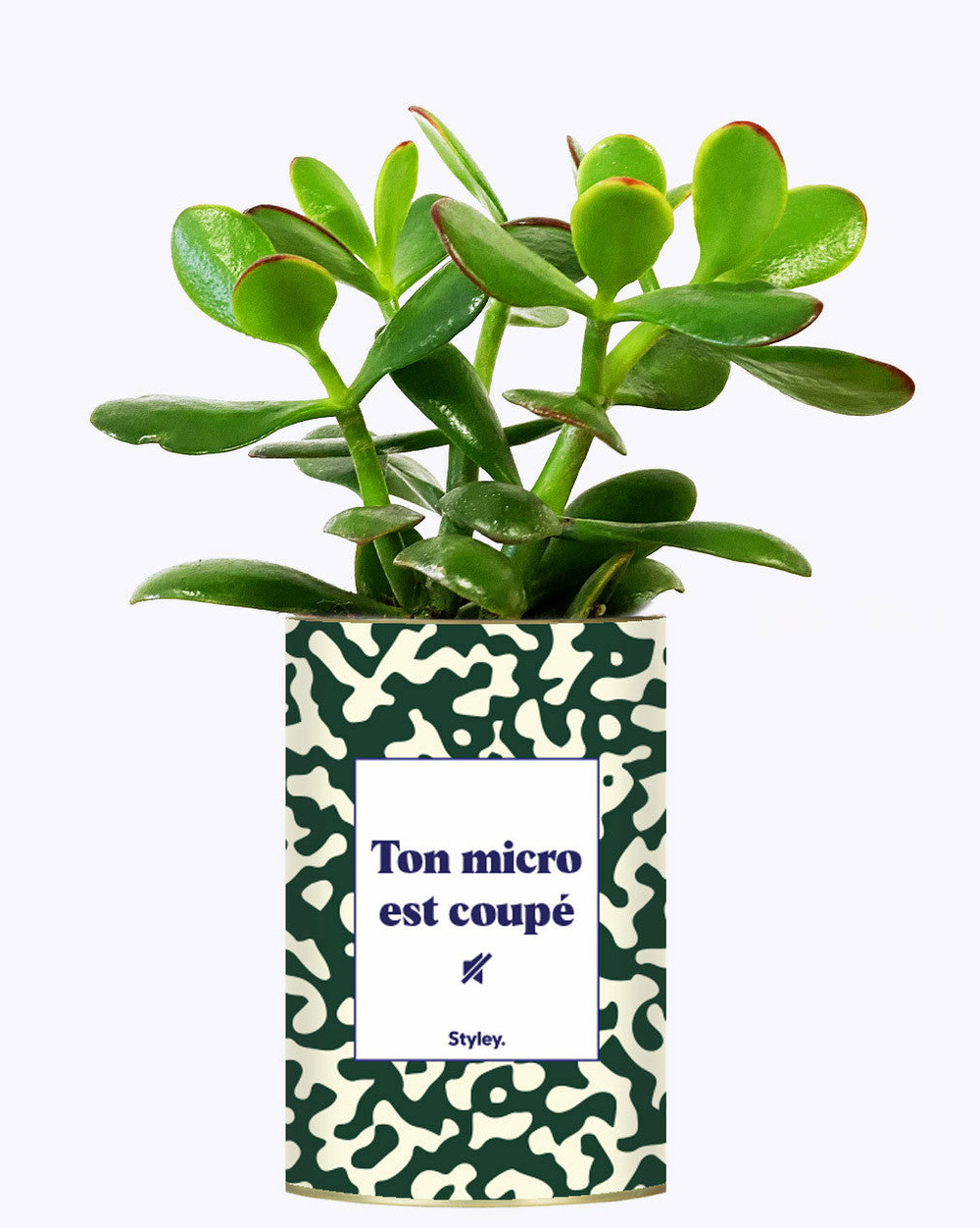 Idée cadeau - ton micro est coupé - cactus