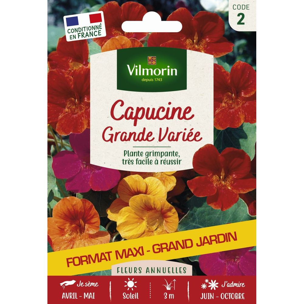 Capucine grande variée - grand modèle
