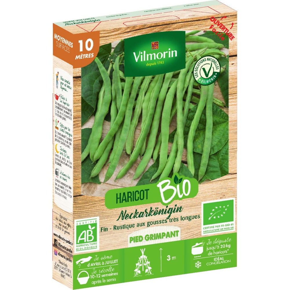 Graines de haricot vert sans fil neckarkönigin bio 10 mètres