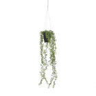 Mica decorations - senecio artificielle à suspendre vert en pot h68