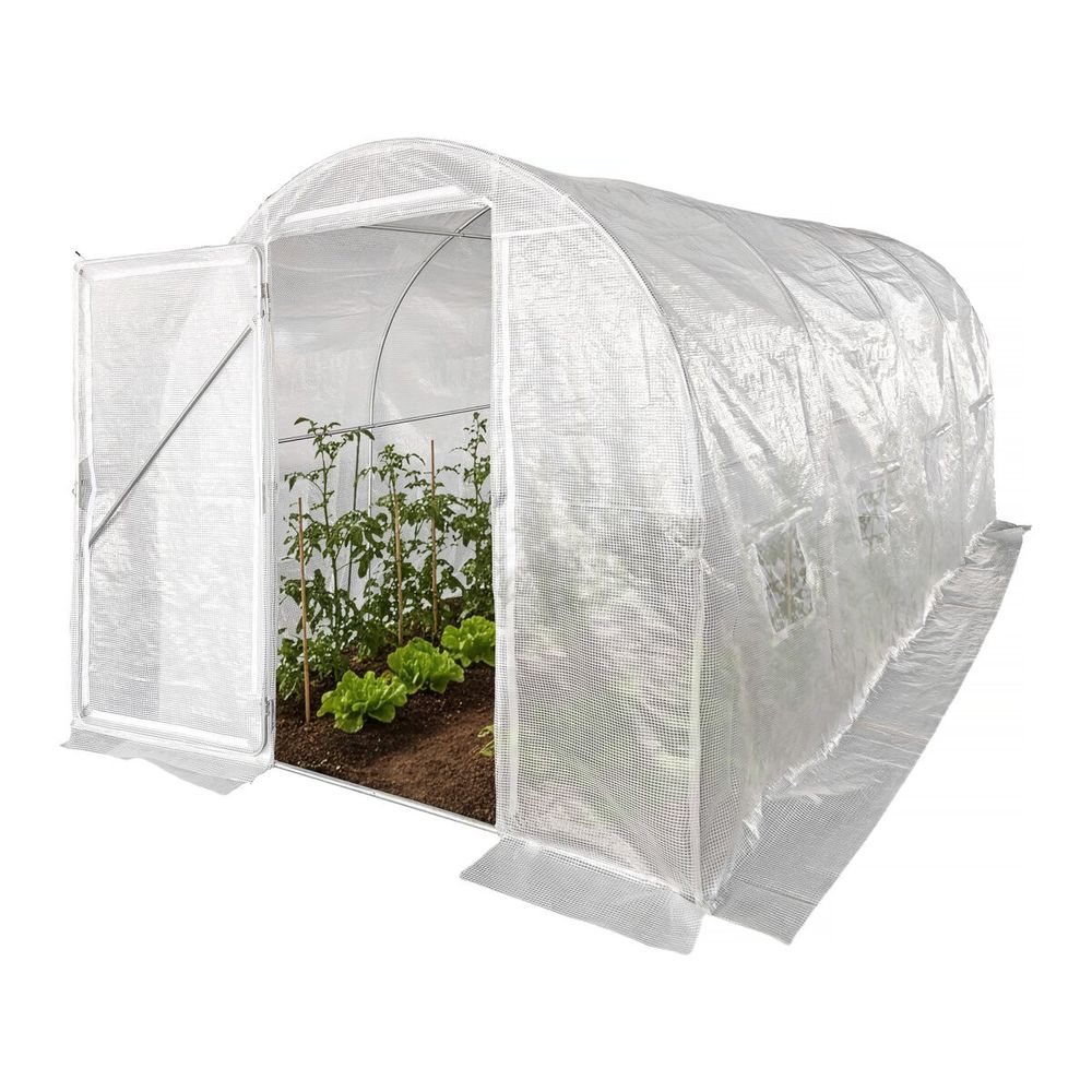 Serre tunelle de jardin avec porte 4,5 x 2 m 