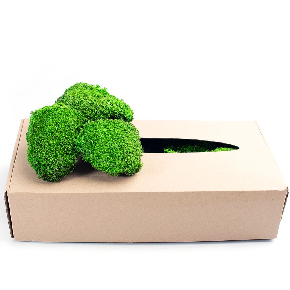 Mousse Naturelle Stabilisée XIAQICA 200g - Vert Foncé Pour Déco Crèche, Noël, Modélisme Et DIY