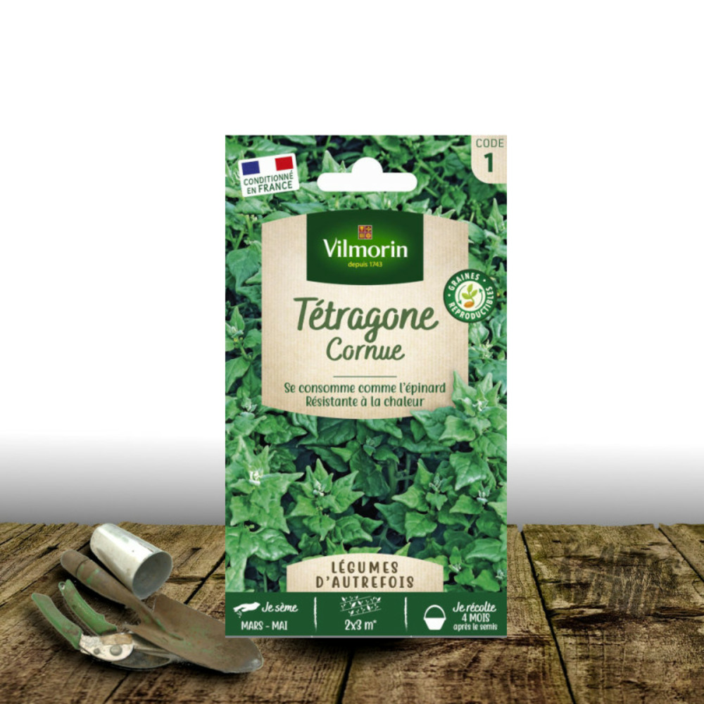 Graines de tétragone cornue - vilmorin sachet