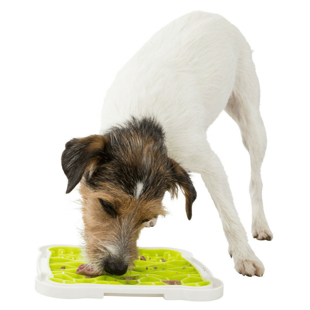 Assiette à lécher lick'n'snack, pour votre chien.