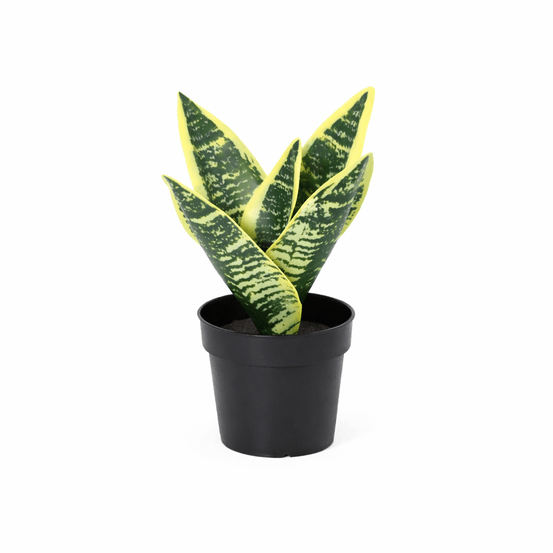 Sansevieria laurentii plante artificielle - h21 cm - ø9 cm