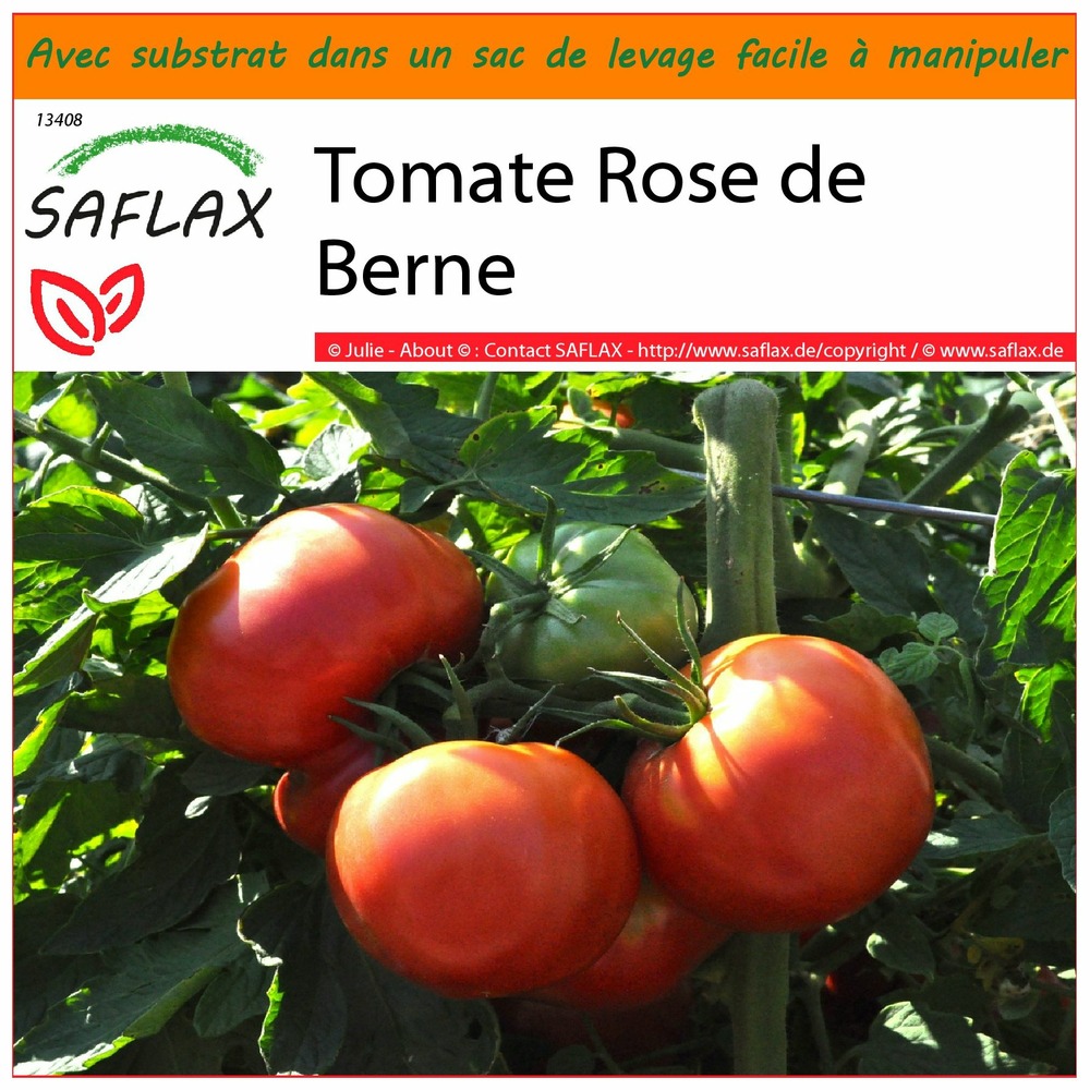 Garden in the bag - tomate rose de berne - 10 graines - lycopersicon esculentum
