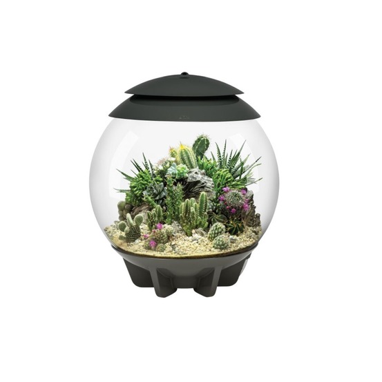Terrarium automatisé 30l gris - air30grey