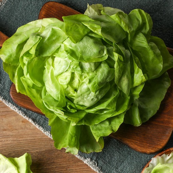 Laitue d'été 'du bon jardinier' le sachet de 2500 graines environ (3g)