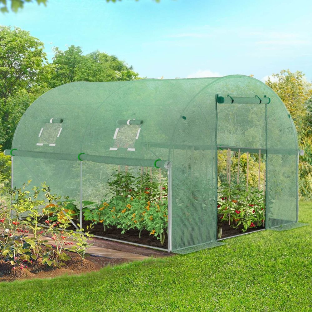 Serre de jardin tunnel 6m² 3 x 2 x 2 m acier galvanisé + bâche anti-uv avec porte et fenêtres roma verte toutes saisons
