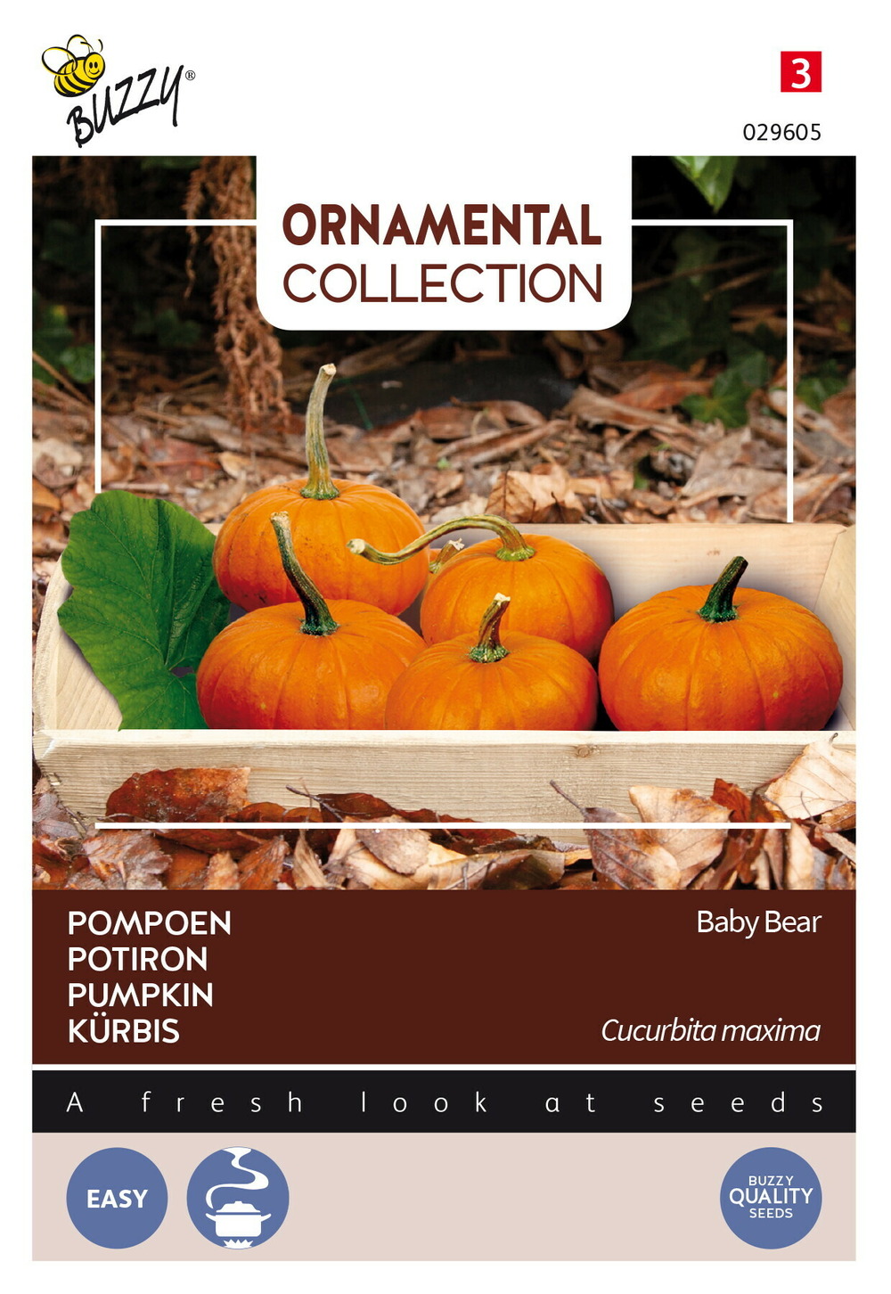 Buzzy ornamental potiron baby bear - ca. 1,5 gr (livraison gratuite)