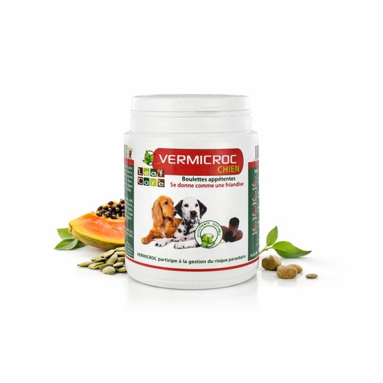 Vermicroc vermifuge naturel chien - technovet 100 g