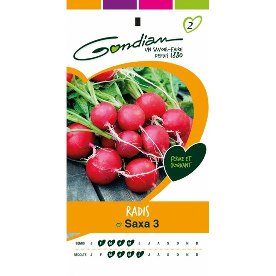 Radis saxa 3